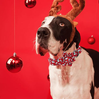 Elegant little tail Dog Collar with Flower