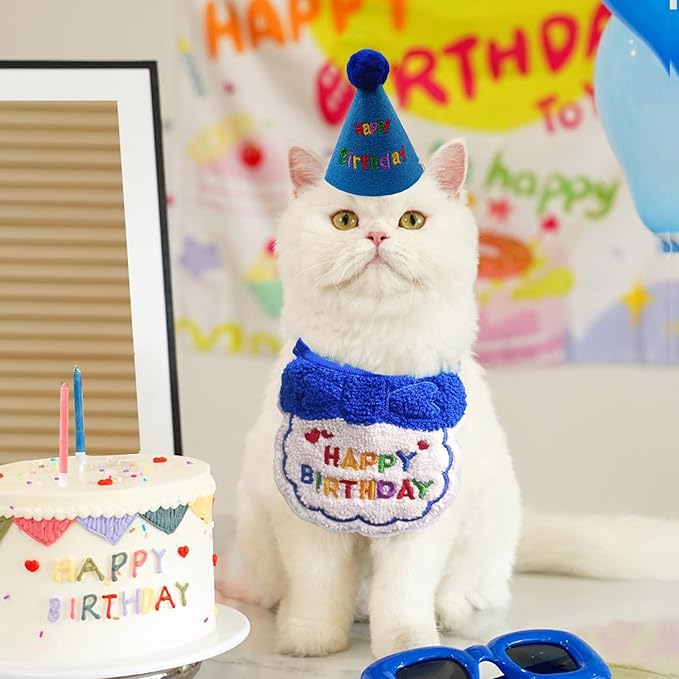 Dog Cat Birthday Party Supplies Outfit Bandana Bib