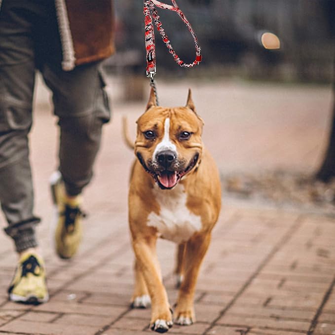 AUROTH Dog Leash Large Dogs 6FT, 2