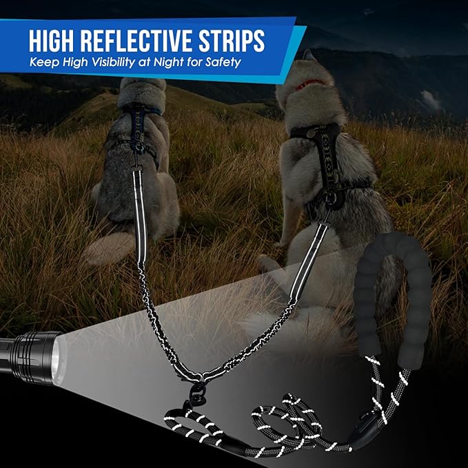 Lukovee Double Dog Leash 360° Swivel