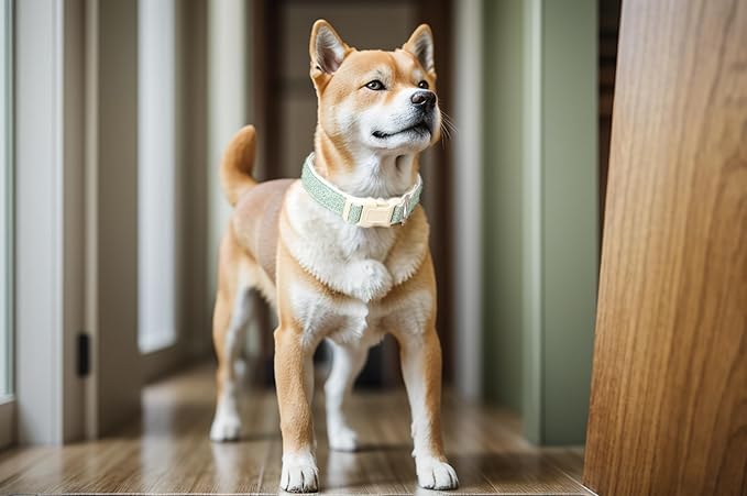 Breathable Cotton Dog Collar