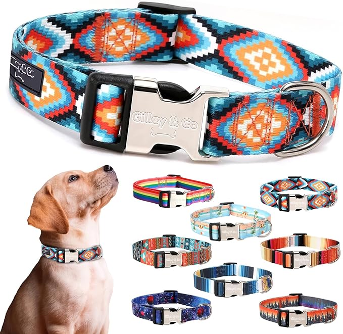 Gilley&Co Dog Collar and Leash Set 8 Designs, 4 Sizes