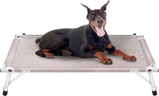 Elevated Cooling Cots Dog Bed: Raised Outdoor & Indoor Pet Cot
