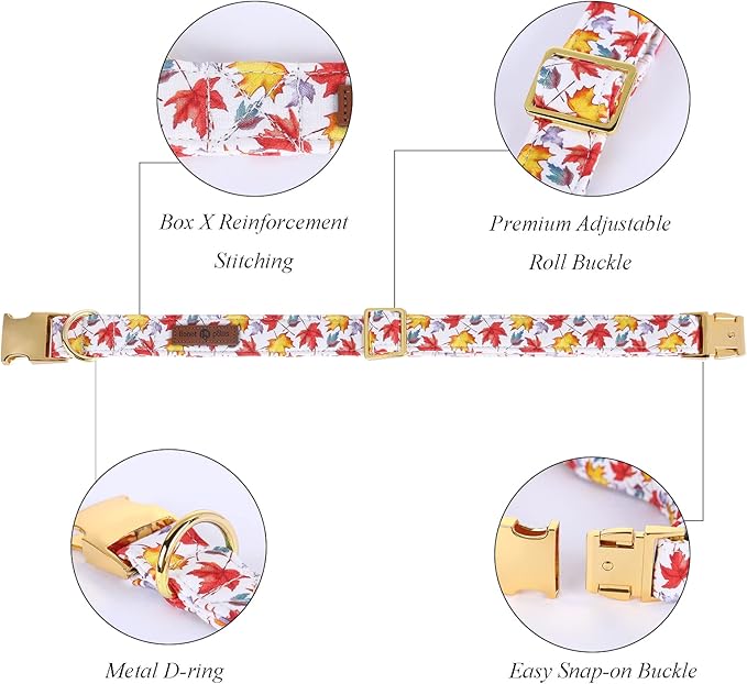 Lionet Paws Dog Collar with Flower 10-16in