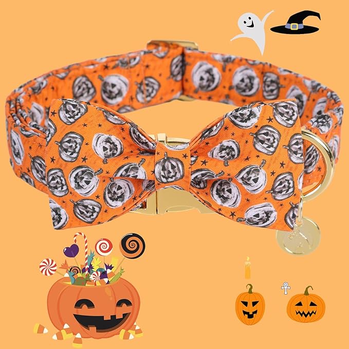 DOGWONG Fall Dog Collar with Bowtie