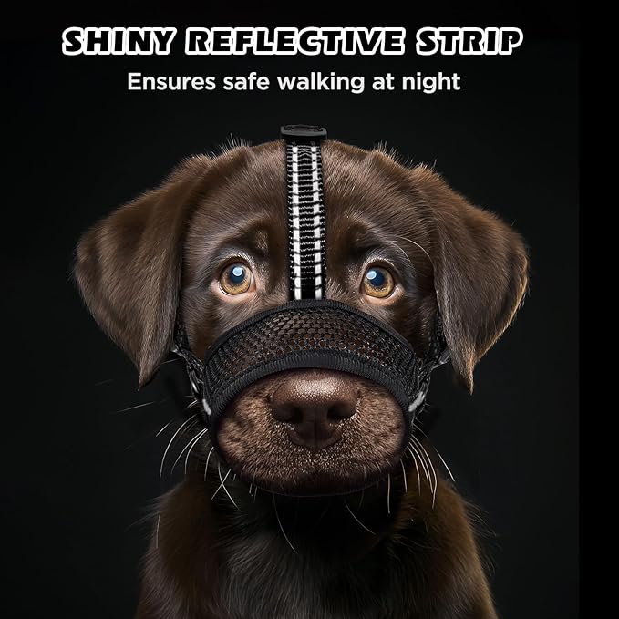 Dog Muzzle