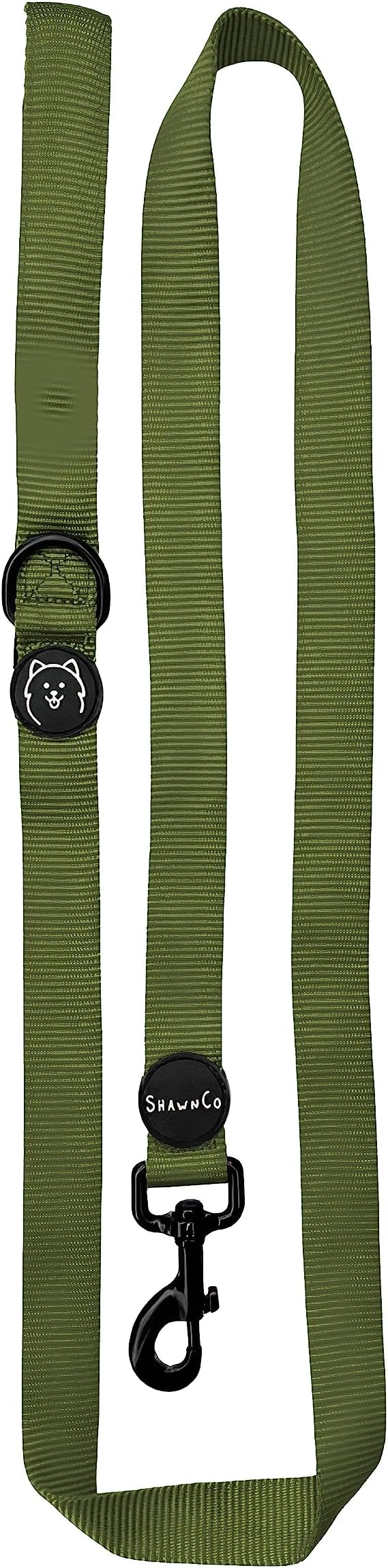 ShawnCo Dream Walk Dog Leash- Premium, Nylon Pet Leash with Soft Neoprene Handle for Small, Medium and Large Dogs (Olive Green, Small)