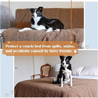 Kritter Planet Love Waterproof Bed Blankets for Couples Intimacy