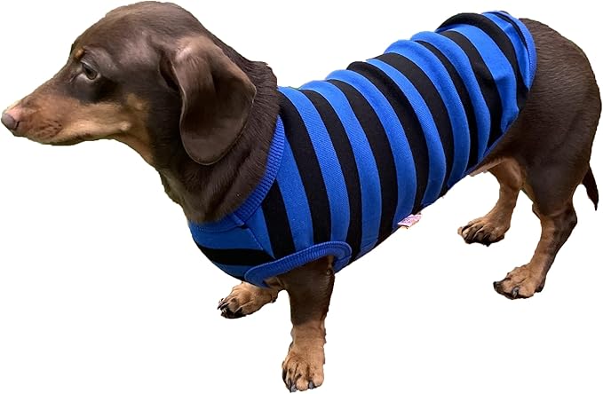 Dachshund Clothes for Dogs Mini and Adults T Shirts (XL