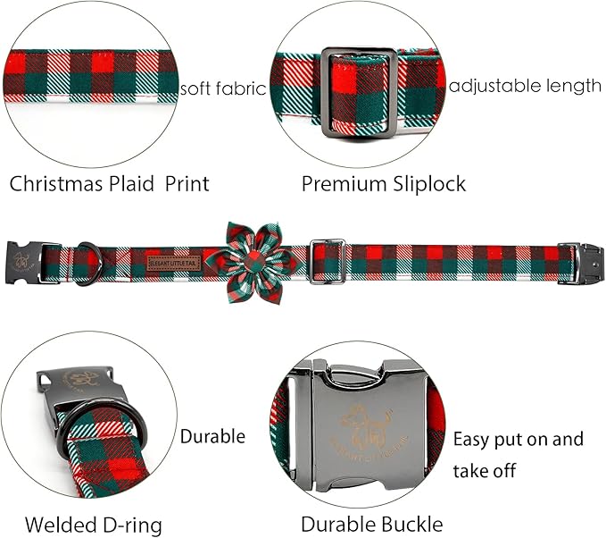 Elegant little tail Dog Collar with Flower