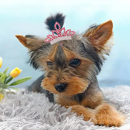 PET SHOW Dog Tiara Crown Hair Clips Bows (2pcs Silver