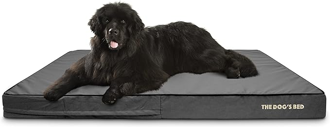 The Dog’s Bed Orthopedic Memory Foam Dog Bed 64x44, Pain