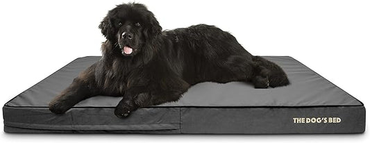 The Dog’s Bed Orthopedic Memory Foam Dog Bed 64x44, Pain