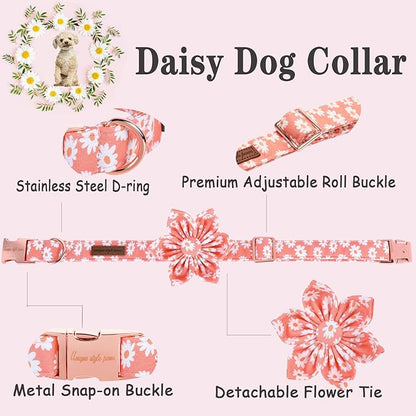 Unique style paws Dog Collar with Flower Tie