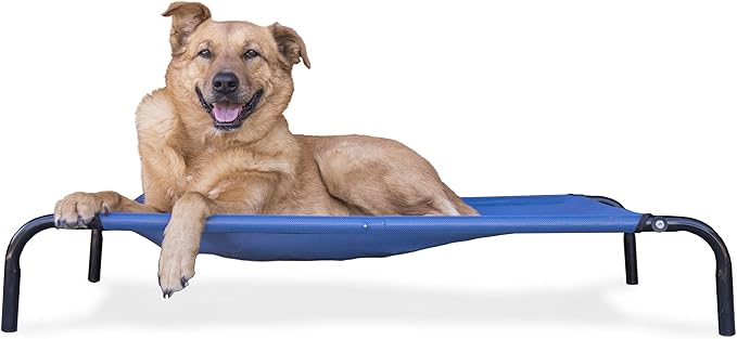 Furhaven Elevated Dog Bed for Medium/Small Dogs