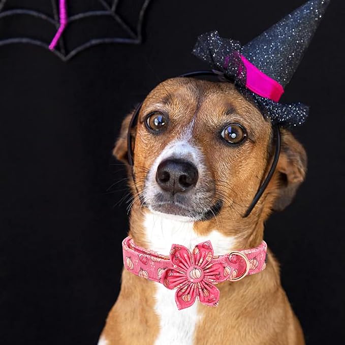 Elegant little tail Dog Collar with Flower