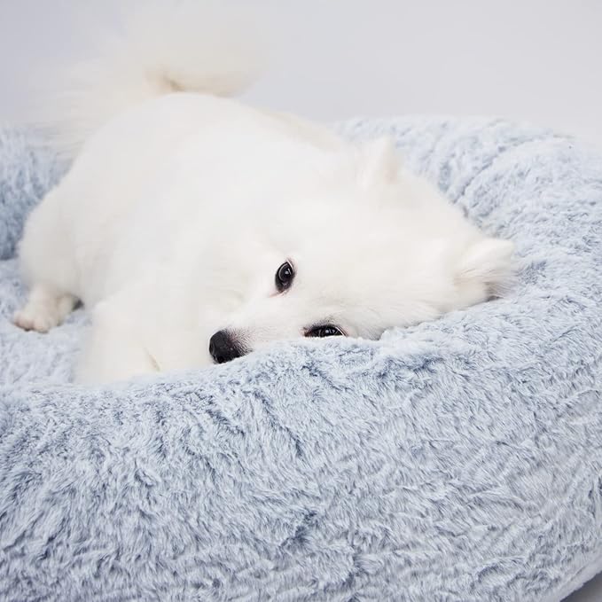 N&V Medium Orthopedic Donut Dog Bed