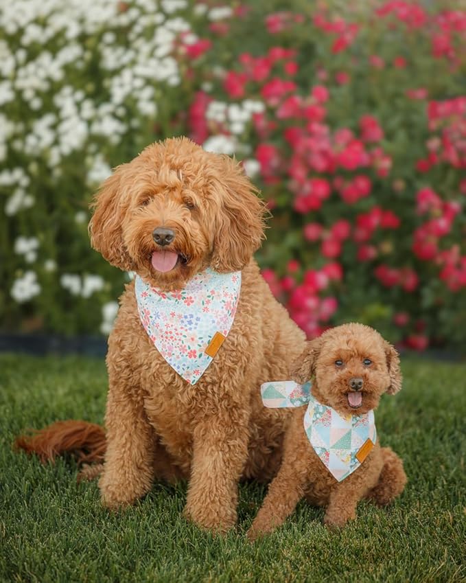 Remy+Roo Spring Dog Bandanas 4 Pack