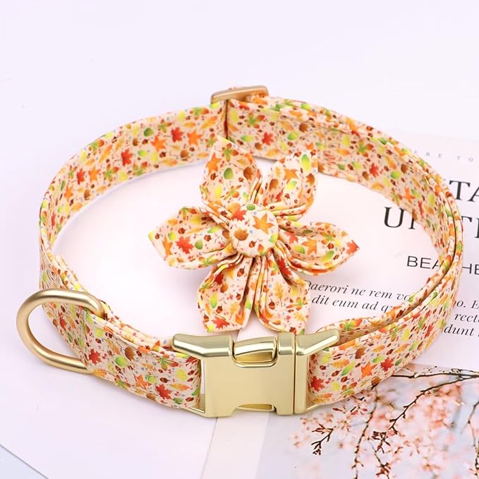 Beirui Cute Girl Dog Collars for Female Dogs