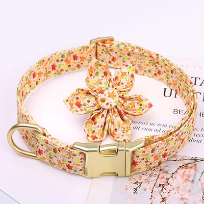 Beirui Cute Girl Dog Collars for Female Dogs