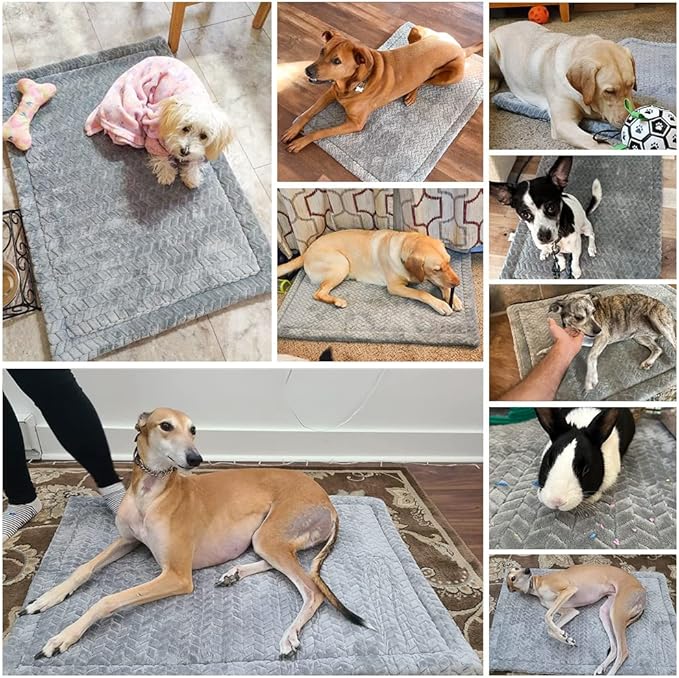 BEAUTYZOO Dog Crate Mat Pad 48" x 30"