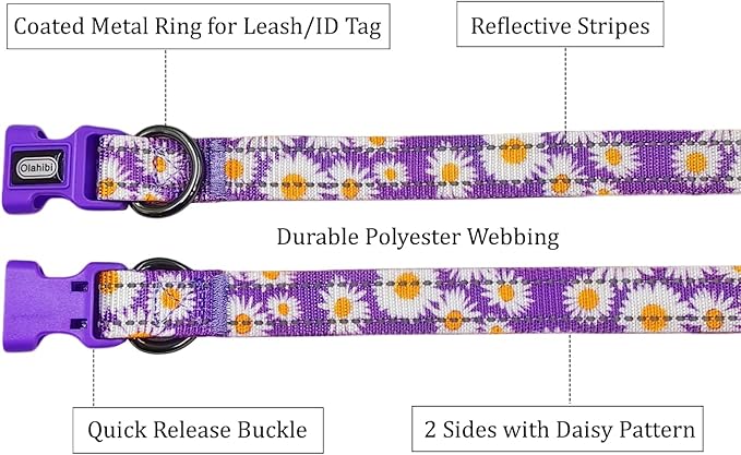 Floral Pattern Dog Collar