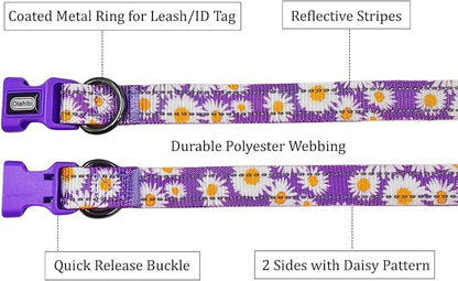 Floral Pattern Dog Collar