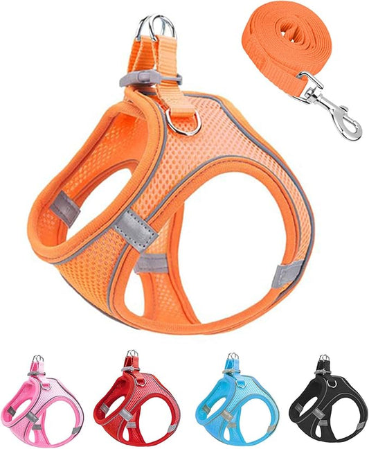 XXXS Orange Soft Mesh Dog Harness and Leash Set,No Escape Easy Walk Puppy Harnesses for Training Walking， Reflective Adjustable Puppy Vest for Small Medium Dogs, Cats (Orange, XXXS)