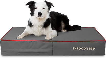 The Dog’s Bed Orthopedic Memory Foam Dog Bed 40x25, Pain