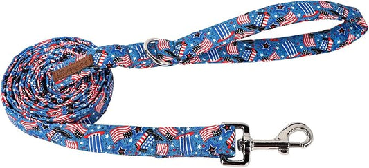 Patriotic Dog Leash Match 4th of July Dog Collar 4th of