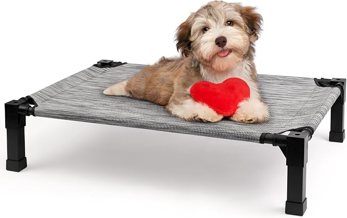 Cooling Elevated Dog Bed