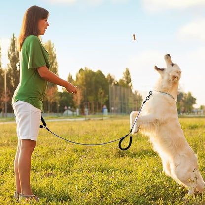 6 Feet Heavy Duty Dog Leash Super Strong Special Stainless Steel Alloy Metal Wire