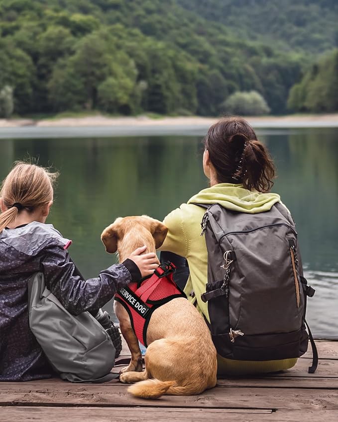 FAYOGOO Service Dog Vest for Medium Breed - Lightweight Dog Harness with 6PCS Removable Patches - Puppy Harness and Leash Set for Walking,Training