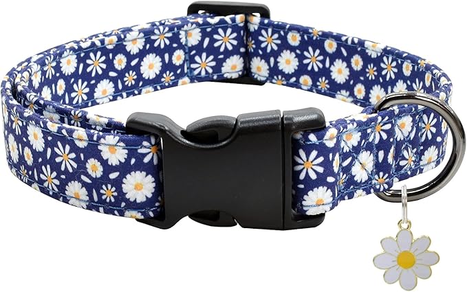 Flower Patterns Dog Collar with Accessories
