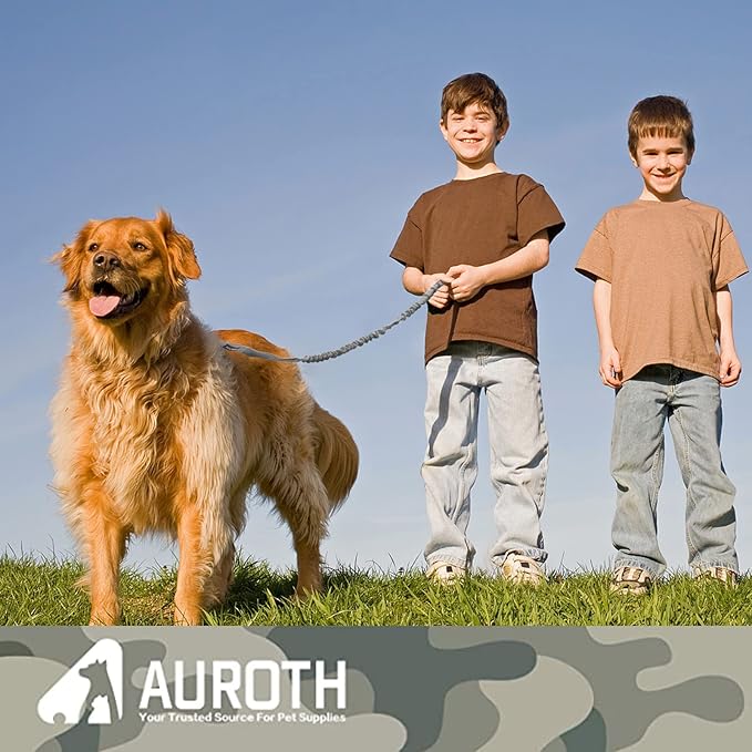AUROTH Dog Leash Large Dogs 6FT, 2