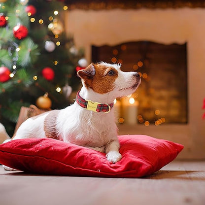 Unique style paws Dog Collar Metal Buckle Collar