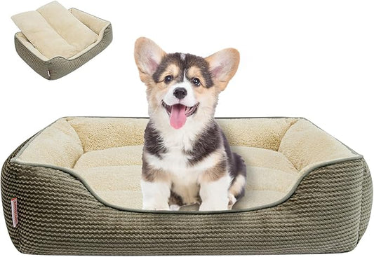 Miguel Dog Bed with Removable Cushion/Pillow for Small Dogs 20 Inch