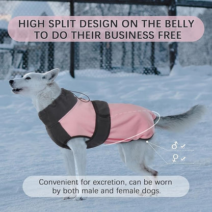 ROZKITCH Dog Sweater for Cold Weather 3XL