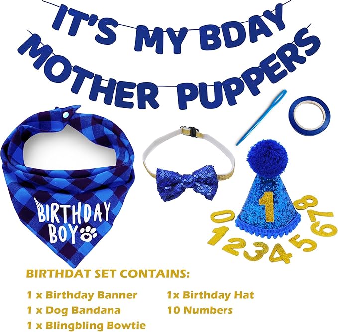 Birthday Plaid Dog Bandana with Button