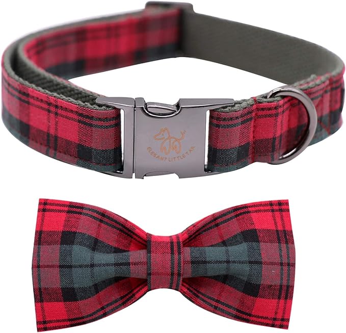 Elegant little tail Dog Collar with Bow