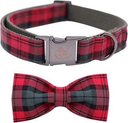 Elegant little tail Dog Collar with Bow