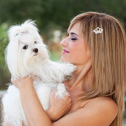 PET SHOW 10pcs Crystal Small Dogs Hair Clips 200pcs Rubber