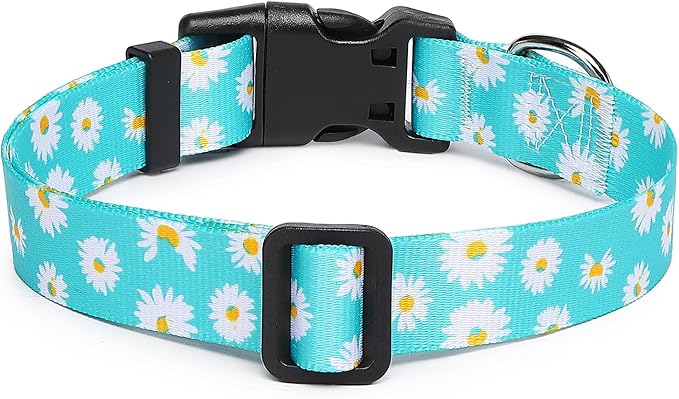 Adjustable Dog Collar with Patterns