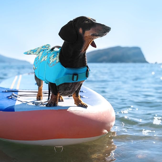 Queenmore Mermaid Dog Life Jacket