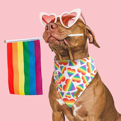 Pride Dog Bandanas 2 Pack