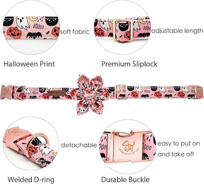 Elegant little tail Dog Collar with Flower