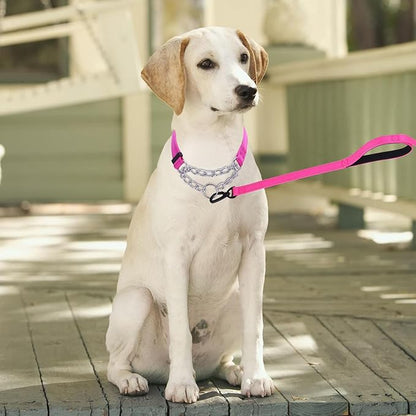 Martingale Dog Collar with Stainless Steel Chain and Leash Set 5FT Double
