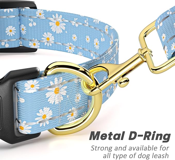 Reflective Dog Collar