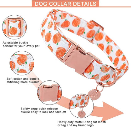 Halloween Dog Collar with Metal Buckle Gift Fall