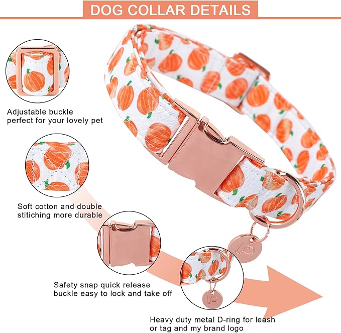 Halloween Dog Collar with Metal Buckle Gift Fall